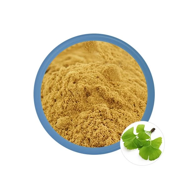 Ginkgo-biloba-extract-powder