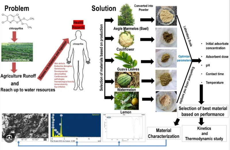 Chlorpyrifos Application Chlorpyrifos Application