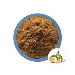 Ekstrakt Areca Catechu