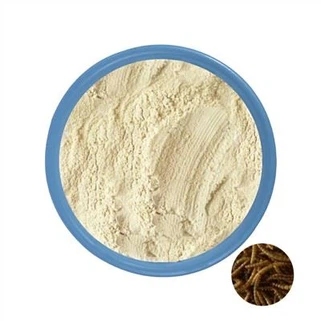 Protein insekata