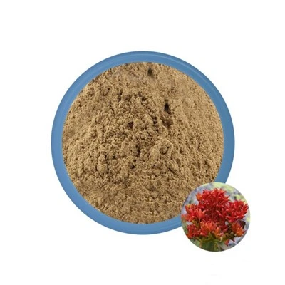 Rhodiola u prahu