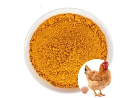 Vitamin B9 Folic Acid Powder supplier Vitamin B9 Folic Acid Powder supplier