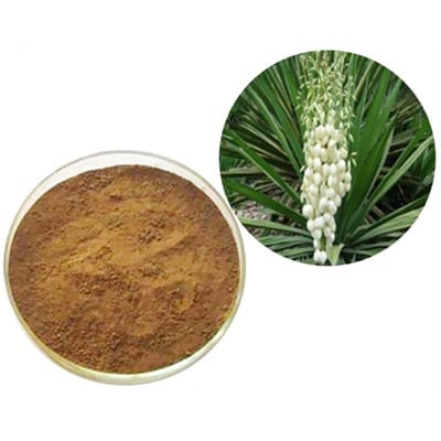 Yucca korijen u prahu